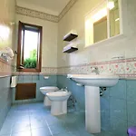Cicala Salento