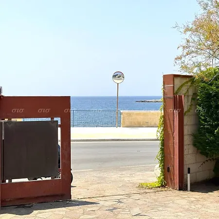 Cicala Salento