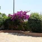 Cicala Salento Santa Maria al Bagno