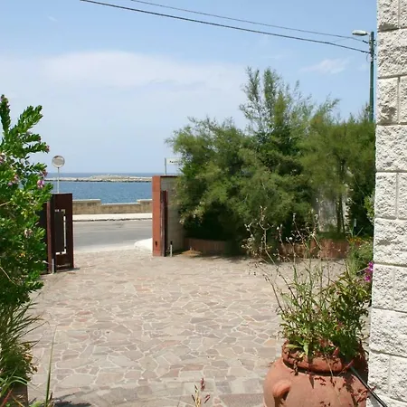 Cicala Salento *