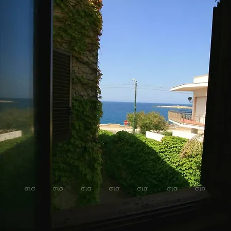 Cicala Salento *
